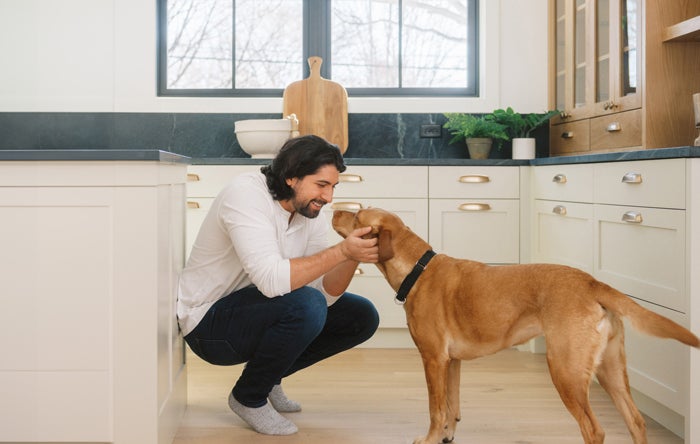 owner playing with dog, Complete Health Dog Food, Wellness Complete Health dog food