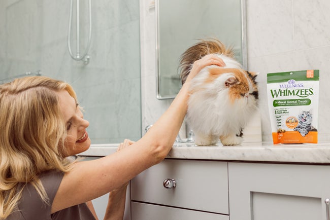 owner petting cat with Whimzees treats near by